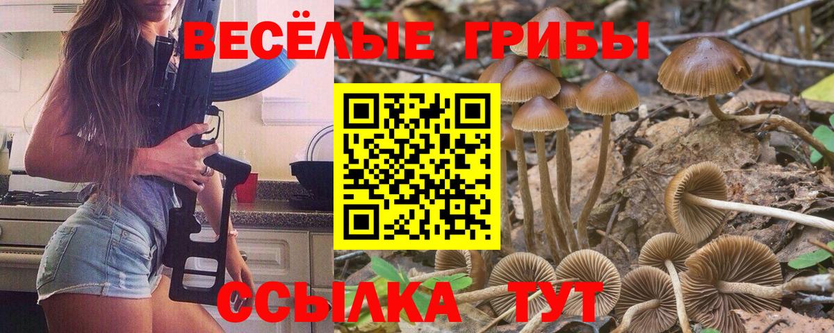 Псилоцибиновые грибы мухоморы  Псилоцибиновые грибы Psilocybine cubensis  Усть-Илимск  Вход с VPN 